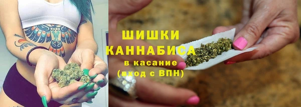 индика Наволоки