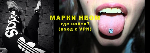 гашик Надым