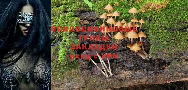 индика Наволоки
