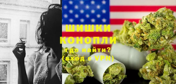 индика Наволоки