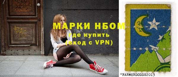 индика Наволоки