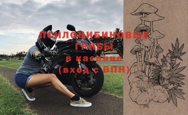 гашик Надым