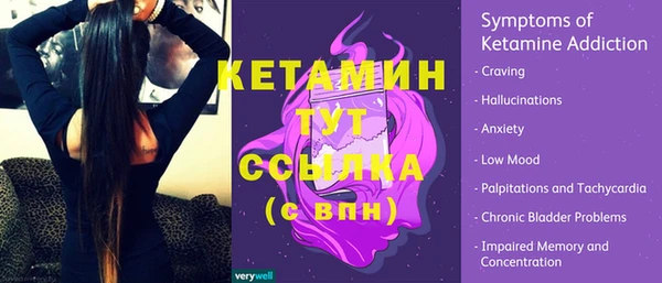 гашик Надым